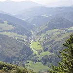 Zur Schmiede 3* Dachsberg im Schwarzwald
