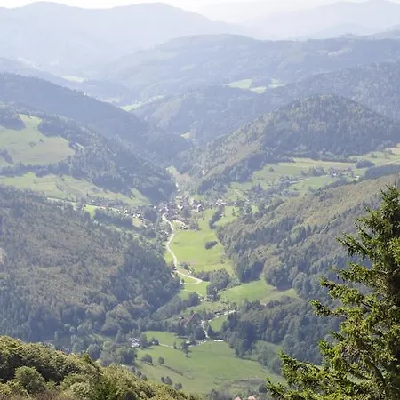 Zur Schmiede 3* Dachsberg im Schwarzwald