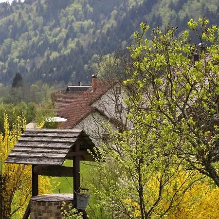 Zur Schmiede Hotel 3*